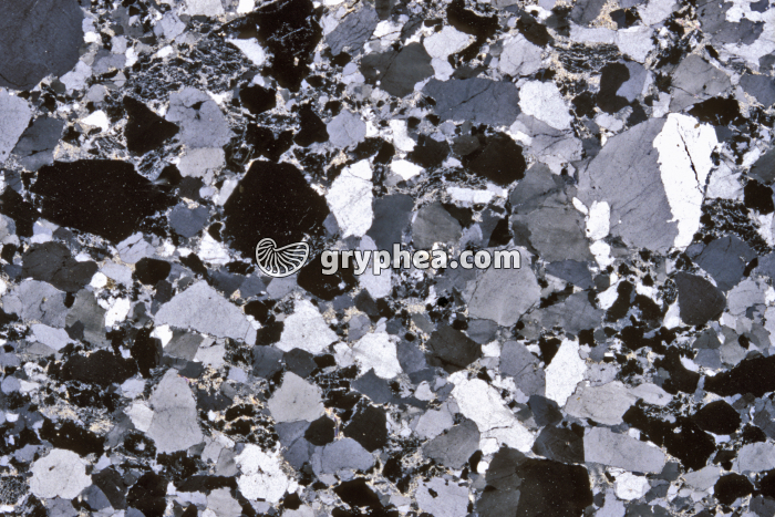 Grès arkose LPA x2 - gryphea.com